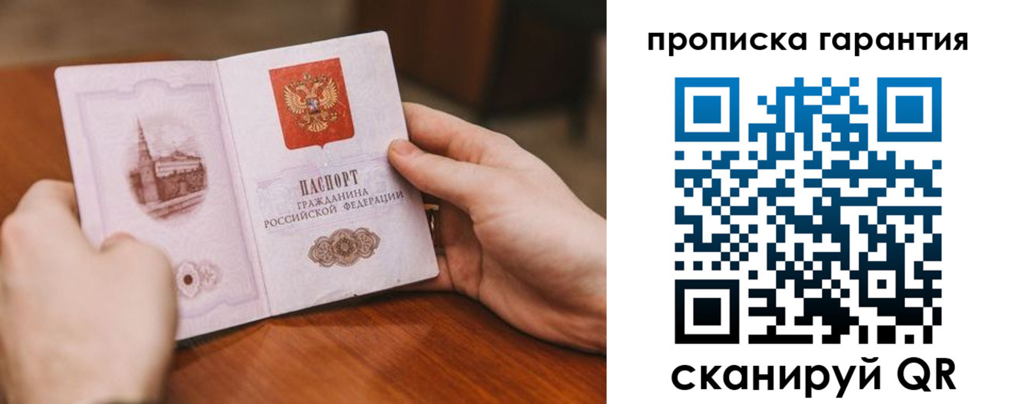 прописка поиск в Тереке
